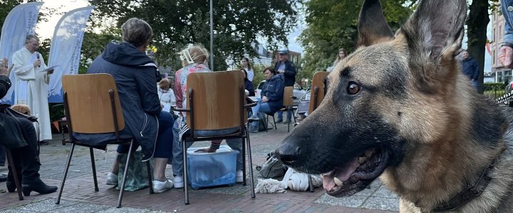 Dierenzegen op Dierendag!